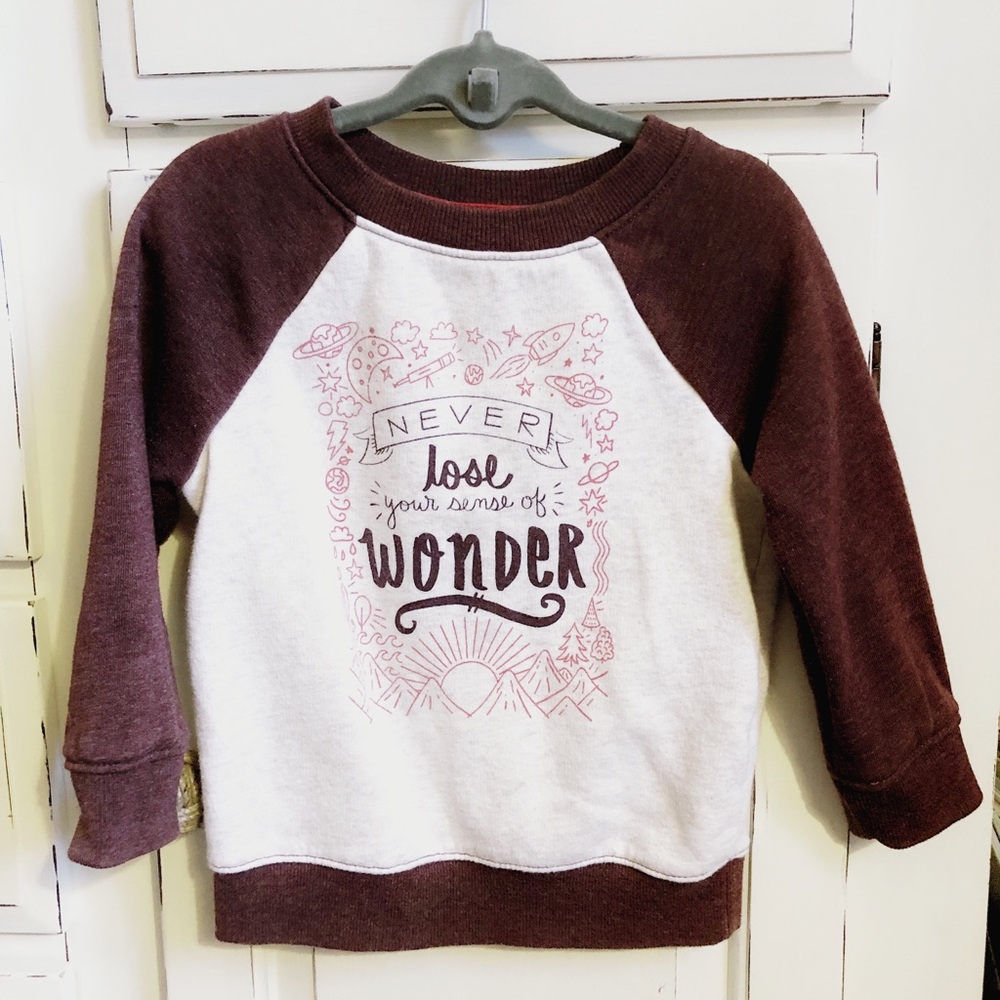 Toddler sweatshirt